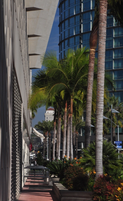 The San Diego Convention Center